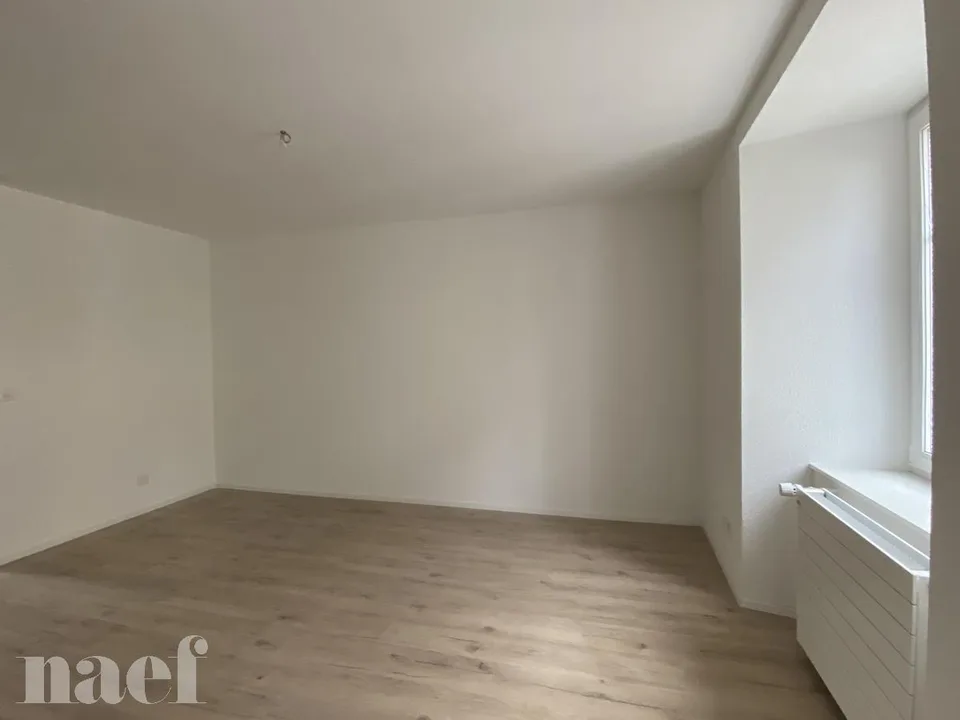 2.5-room apartment on the first floor with communal garden