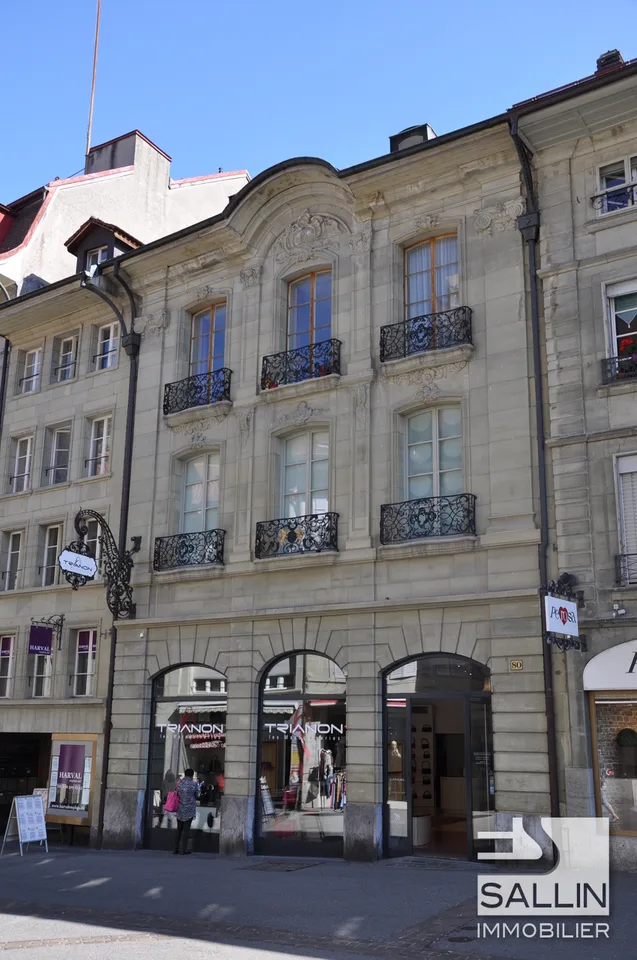 APPARTEMENT DUPLEX DE 3½ PIECES DANS IMMEUBLE PATRICIEN