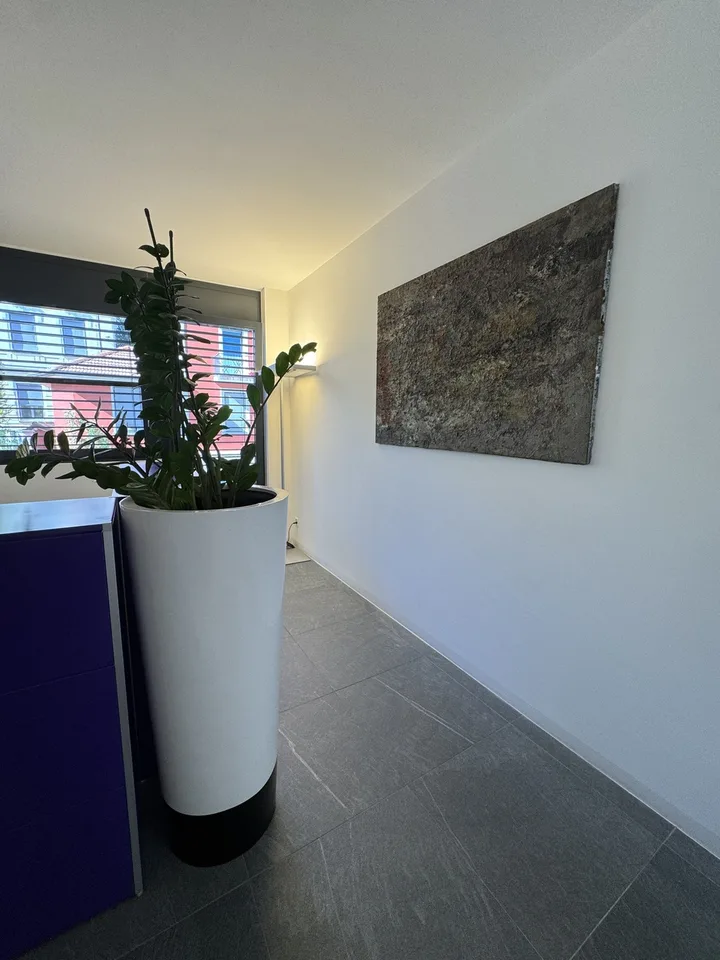 Bureau moderne, idéal également comme espace de vie – photo 10 sur 13