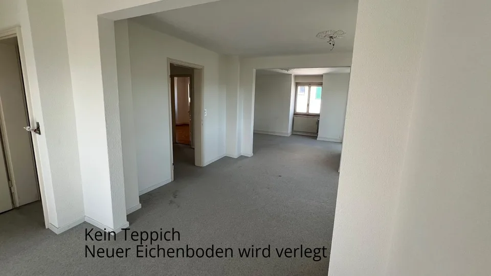 Incantevole appartamento di 2 camere con balcone e vista a Zürich-Höngg – foto 10 di 14