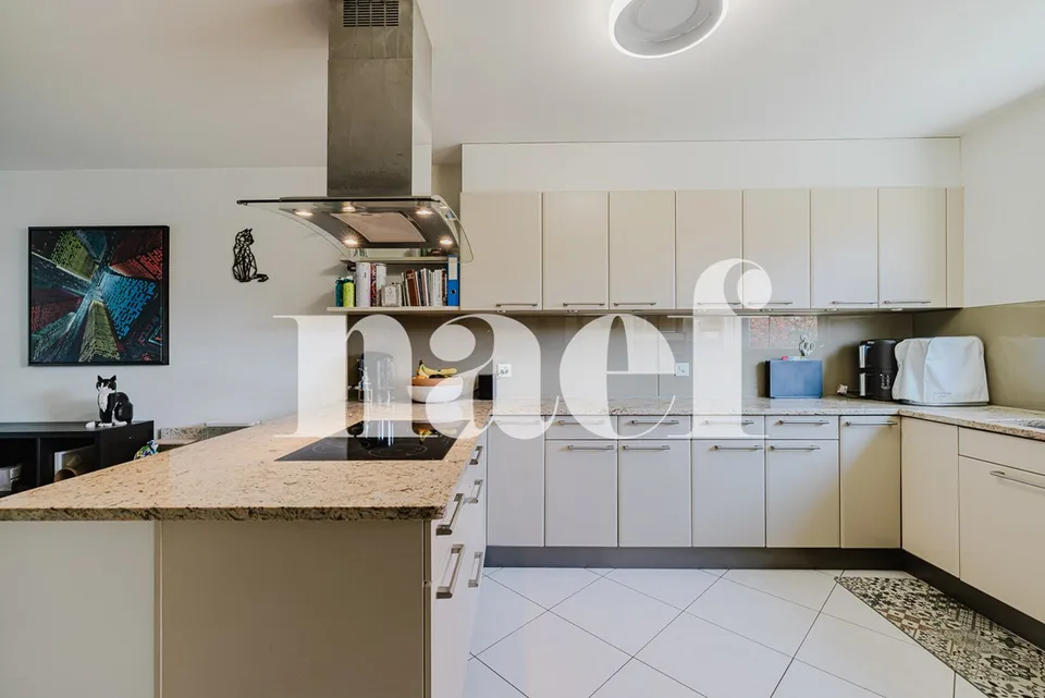 Charmante villa mitoyenne 230 m² utiles plus jardin, terrasse et garage double à Vernier