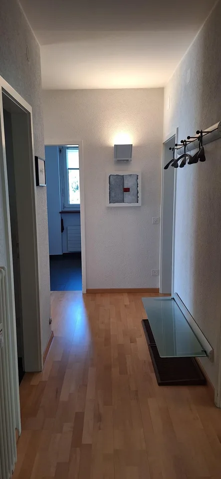 Orselina - app. 3.5 locali ristrutturato con vista / renovierte 3,5-Zi.-Whg. mit Aussicht – Foto 10 von 12