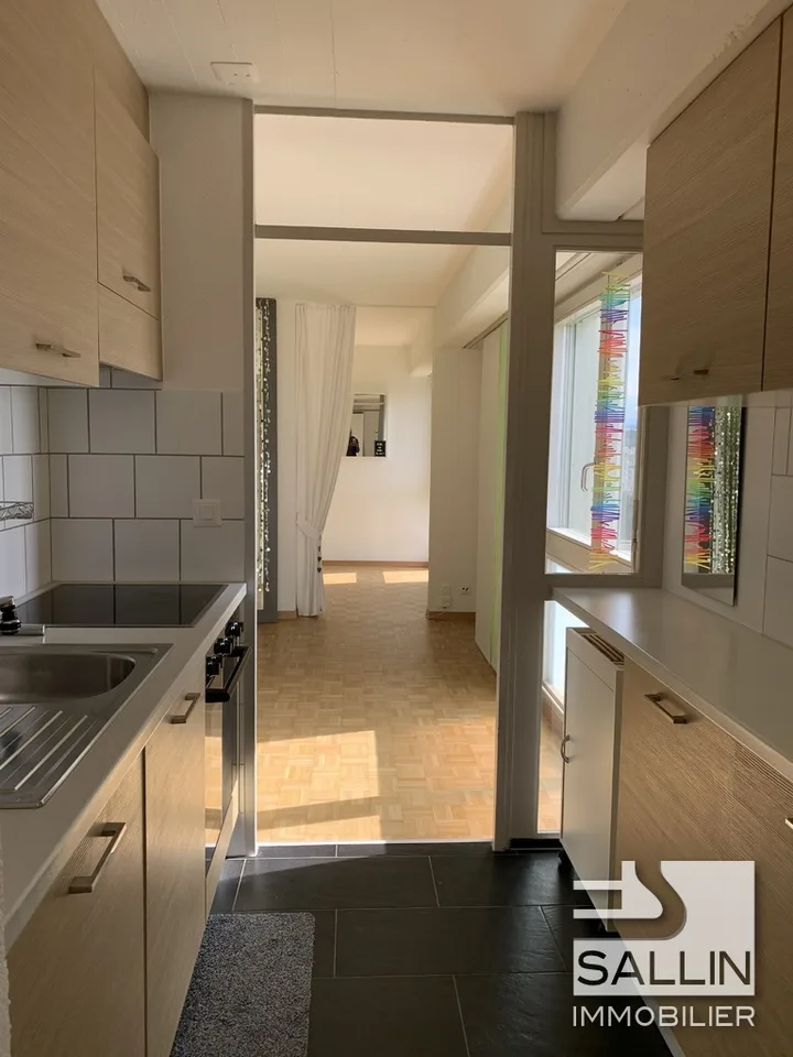 APPARTEMENT RENOVE DE 2½ PIECES  AVEC VUE DEGAGEE
