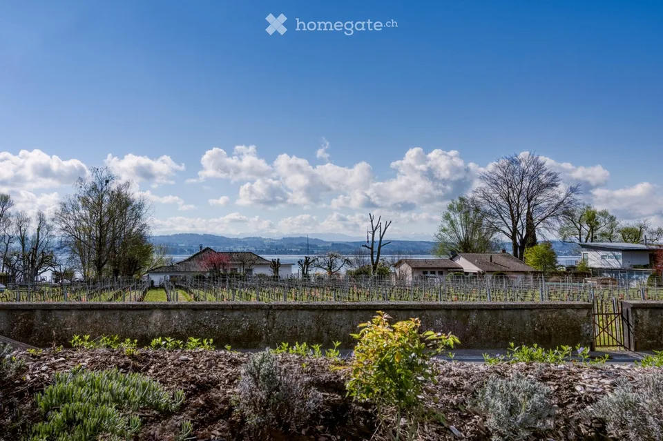 Moderne möblierte Wohnung in Vully, mit Blick auf den Murtensee