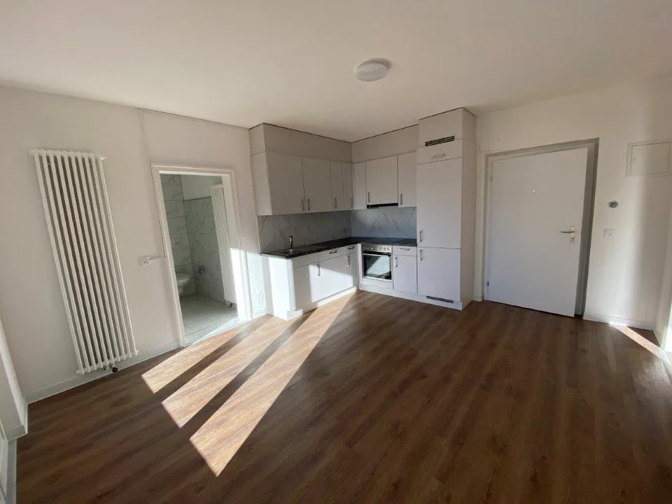 Appartement lumineux de 2 pièces avec balcon et vue sur les montagnes à Biasca