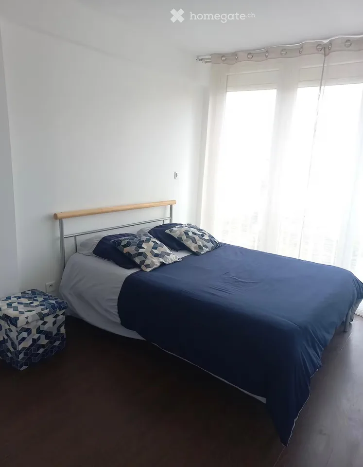 Helles 2.5-Zimmer-Wohnung in Grand-Lancy