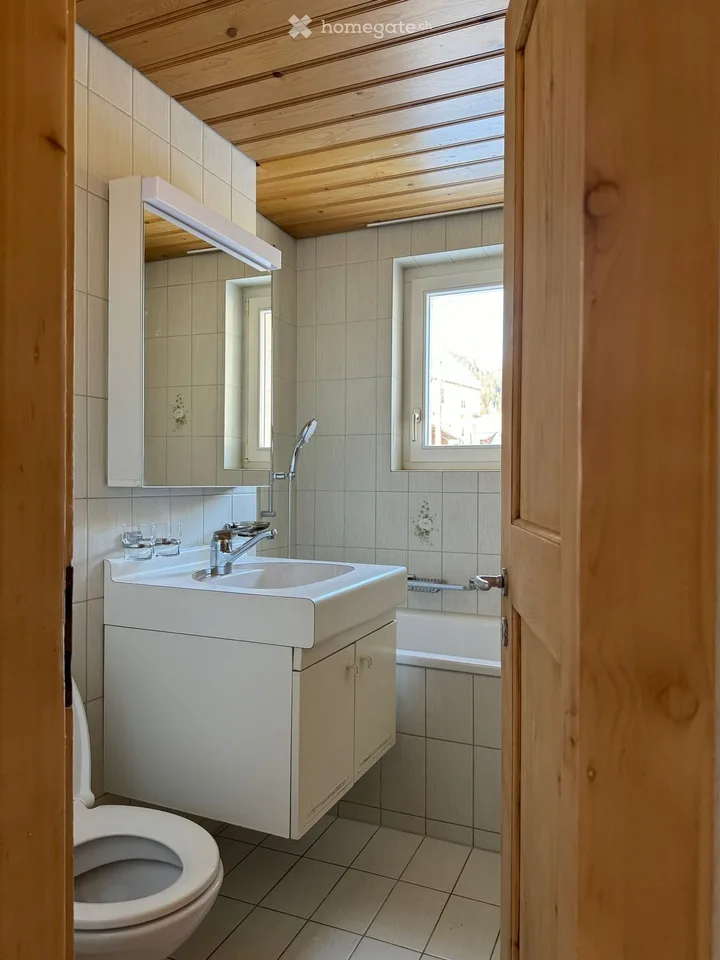 3.5 Zimmerwohnung mit grossem Gemeinschaftsgarten