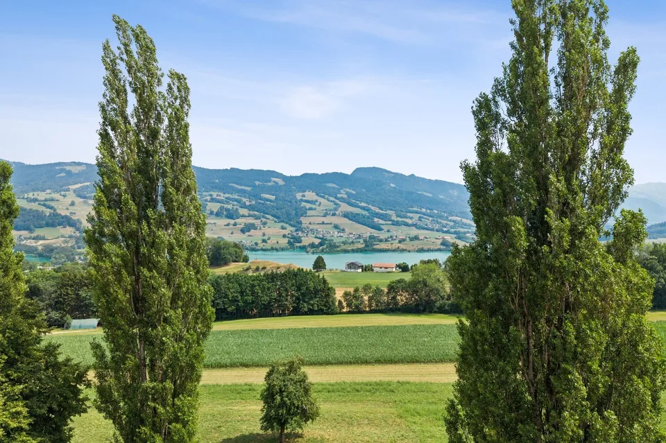 4,5 locali con giardino privato e vista impareggiabile sul Moléson