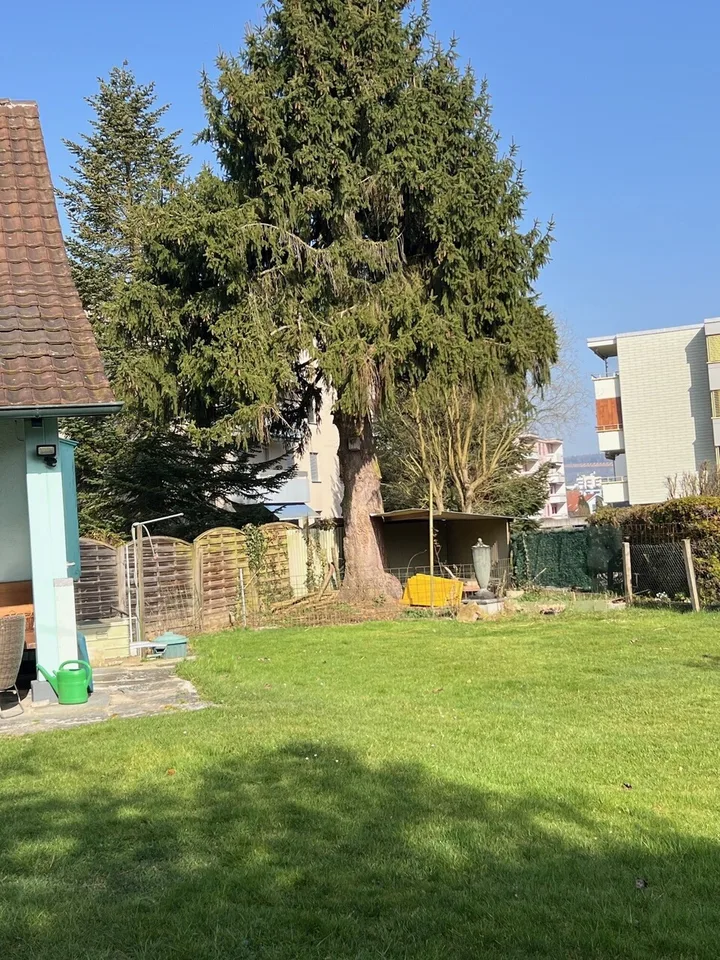 Grundstück mit Potenzial  Totalsanierung oder Neubau