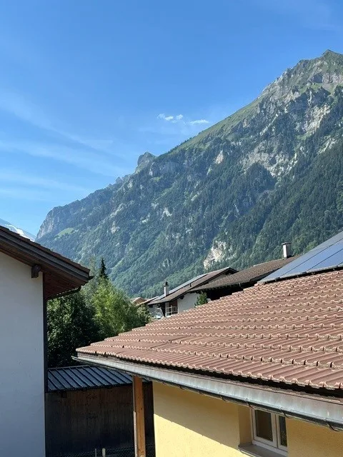 Spacious 4.5-room apartment with winter garden for rent in Kandergrund – photo 18 of 19