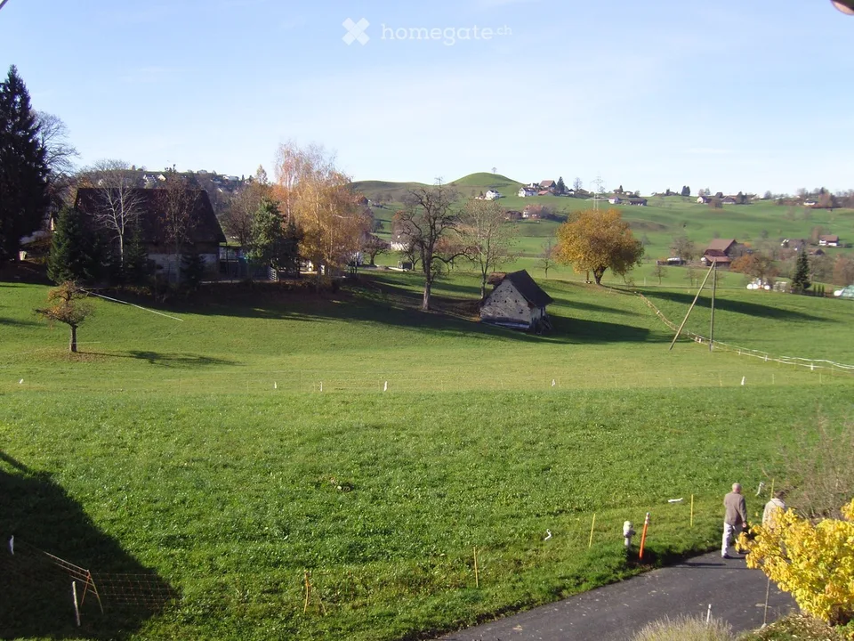 3-Zimmer-Altbauwohnung mit Aussicht in Schönenberg ZH