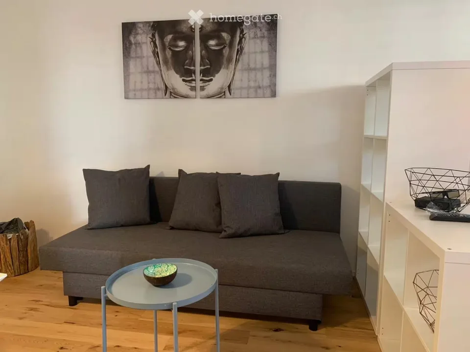 Möblierteeinzimmerwohnung inklusive Nebenkosten und Internet