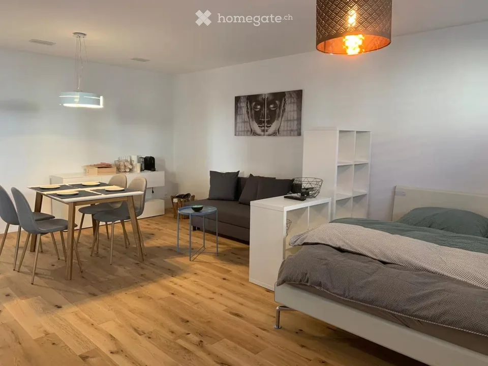 Möblierteeinzimmerwohnung inklusive Nebenkosten und Internet