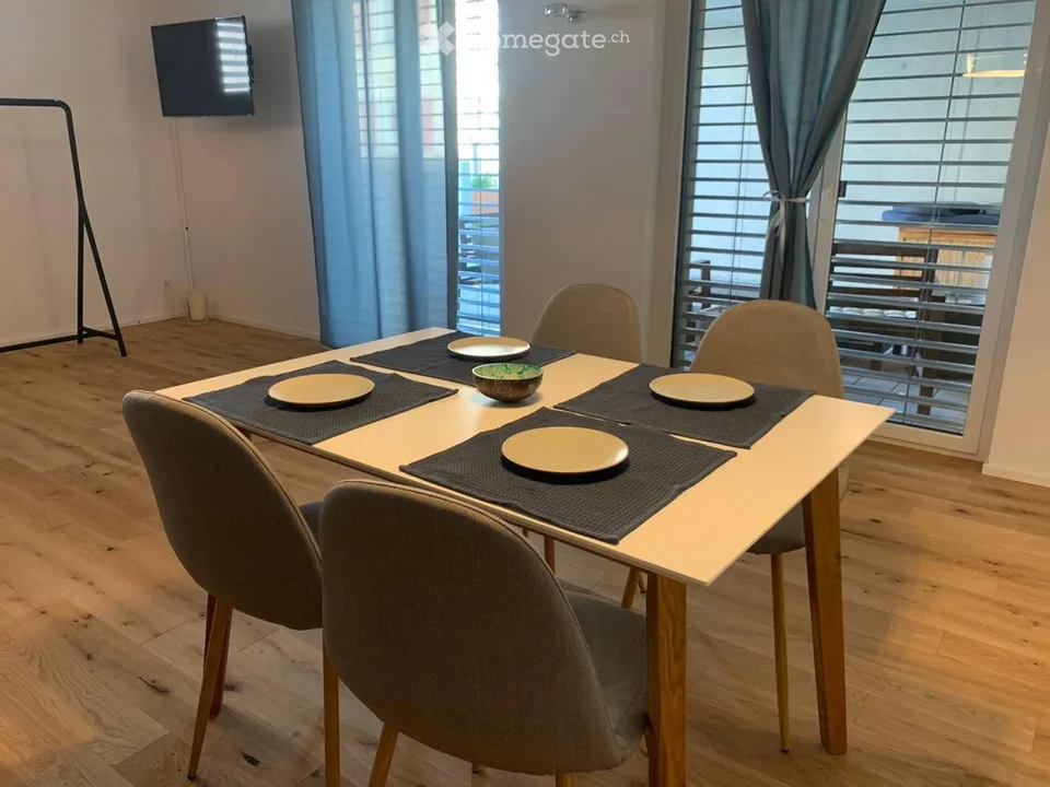 Möblierteeinzimmerwohnung inklusive Nebenkosten und Internet