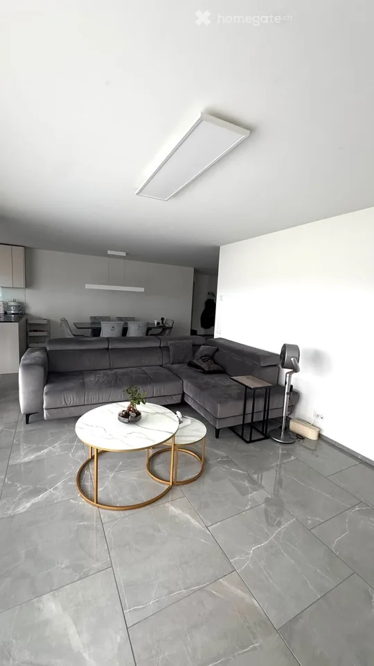 Moderne Wohnung mit grossem Balkon