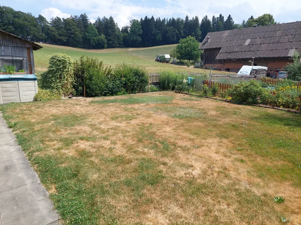 2,5 pièces dans le vert