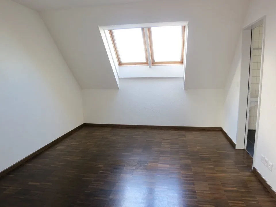 Appartamento attico attraente con grande terrazza e vista panoramica