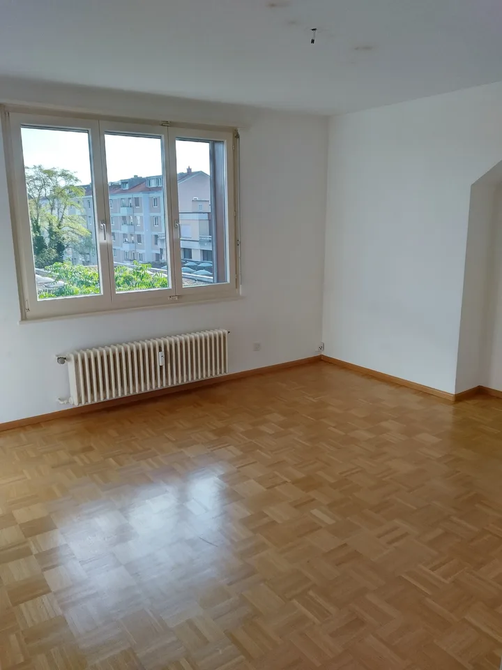 Schöne 2-Zimmerwohnung mit Dachterrasse am Rande des Dorfzentrums von Birsfelden