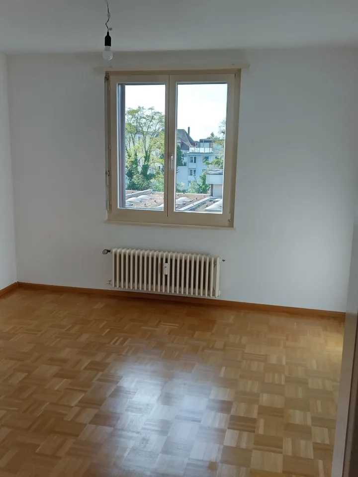 Bello appartamento di 2 camere con terrazza sul tetto ai margini del centro del villaggio di Birsfelden – foto 6 di 7