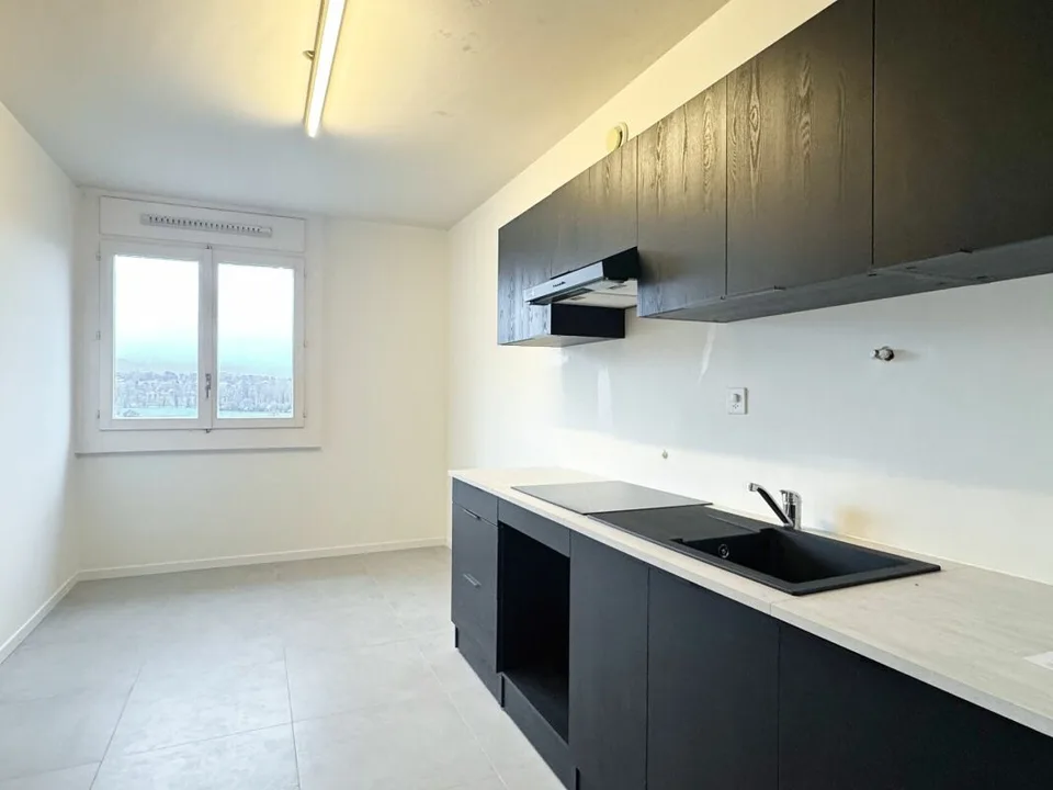 Appartamento 6 locali ristrutturato a Meyrin