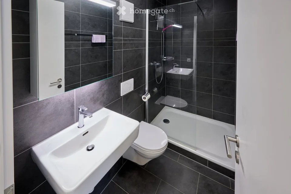 Charming 4.5-room apartment with private garden