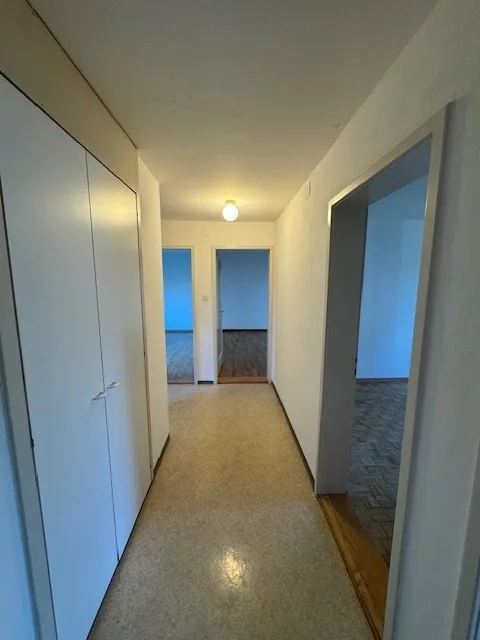Schöne und zentrale Altbauwohnung zu vermieten