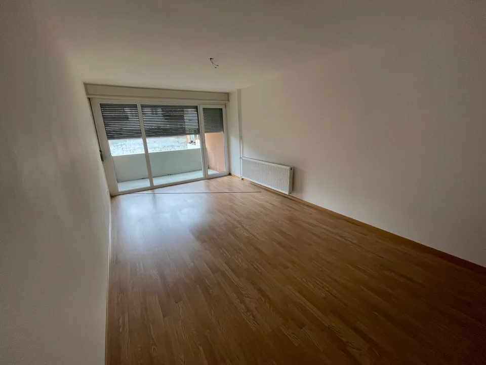 Appartamento di 3,5 locali ristrutturato e spazioso in affitto!