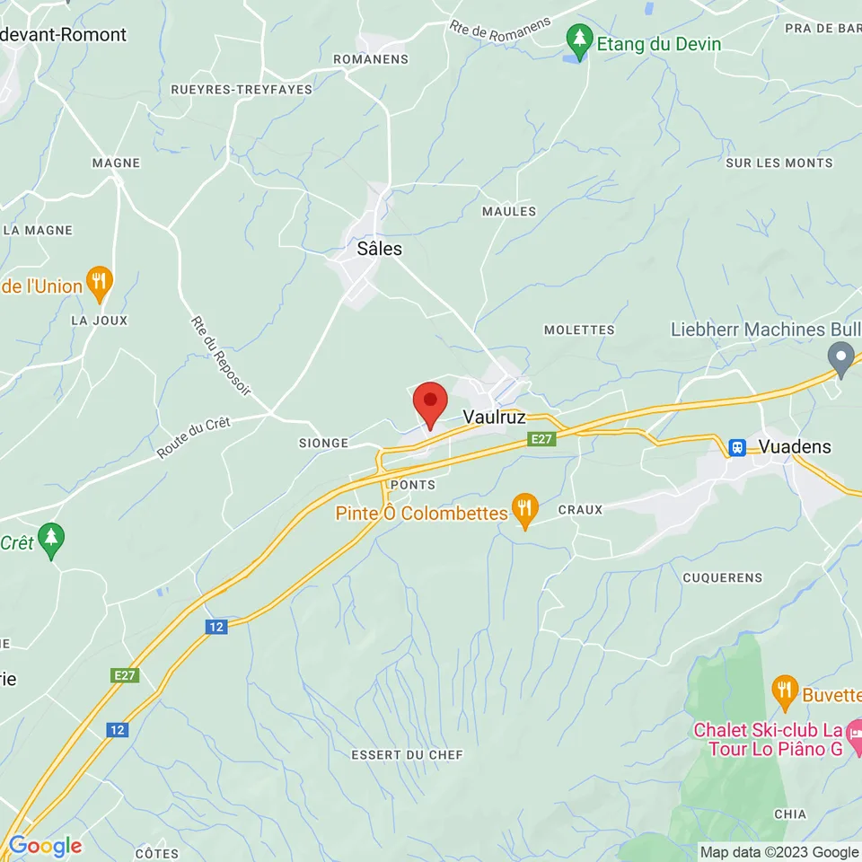 Bella opportunità da cogliere! Magnifico ristorante in Gruyère – foto 9 di 9