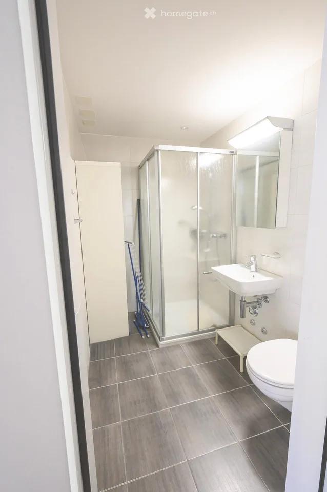 Helle 3.5-Zimmer-Wohnung mit Loggia und Cheminée im Dahlienpark in Unterengstringen – Foto 12 von 16