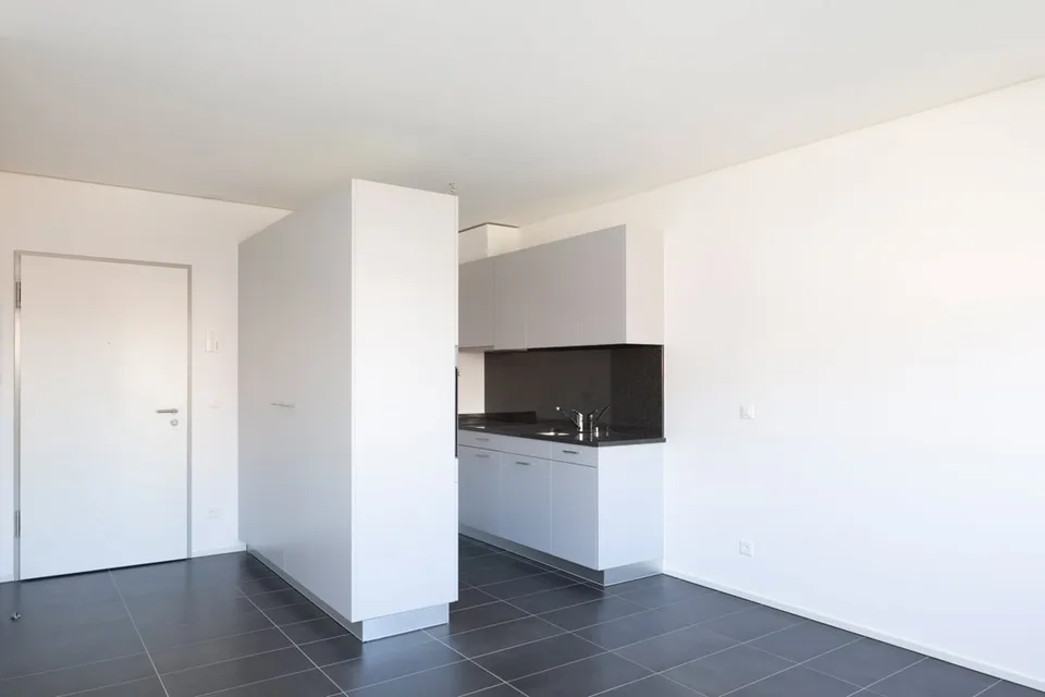 Geräumiges Einzimmerapartment in unmittelbarer Nähe zu allen wichtigen Dienstleistungen