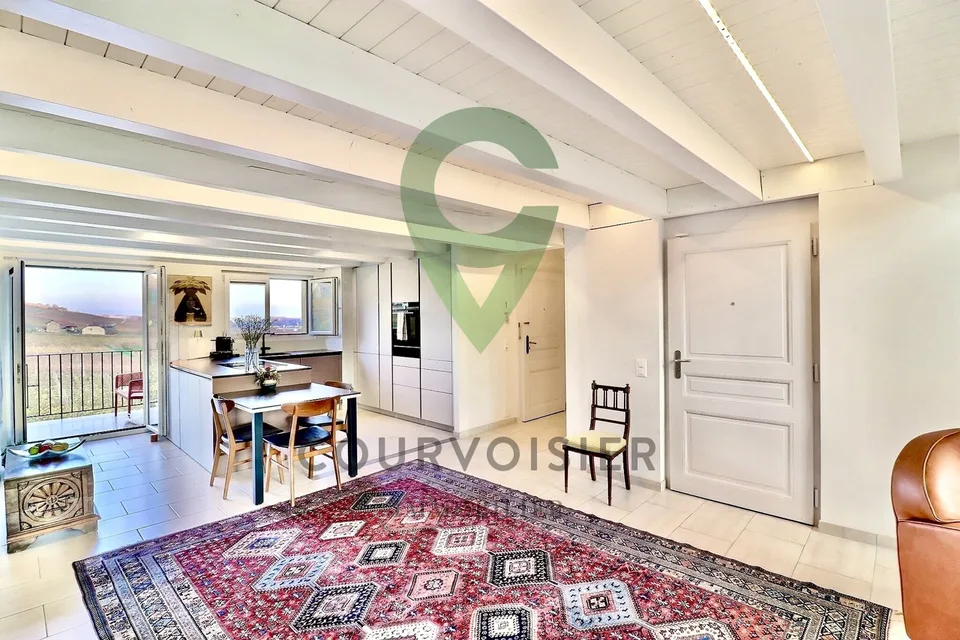 Splendide appartement de 5,5 pièces avec vue sur lac et alpes