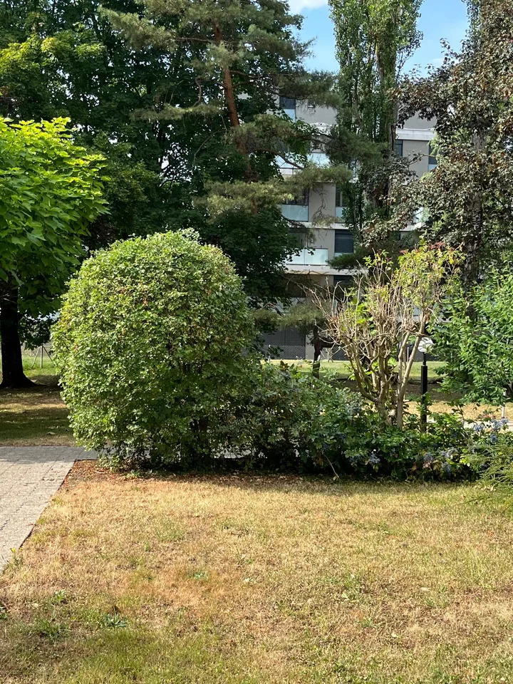 Appartamento di 4.5 locali con balcone a Delémont – disponibile immediatamente