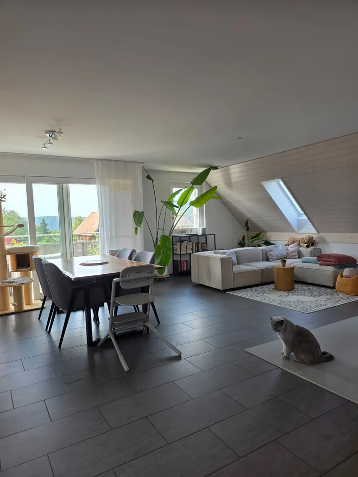 Appartamento mansardato moderno 4.5 locali a Wil ZH