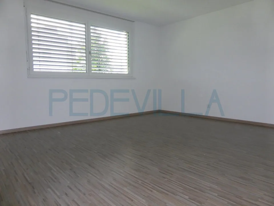 Grand appartement de 4.5 pièces avec balcon
