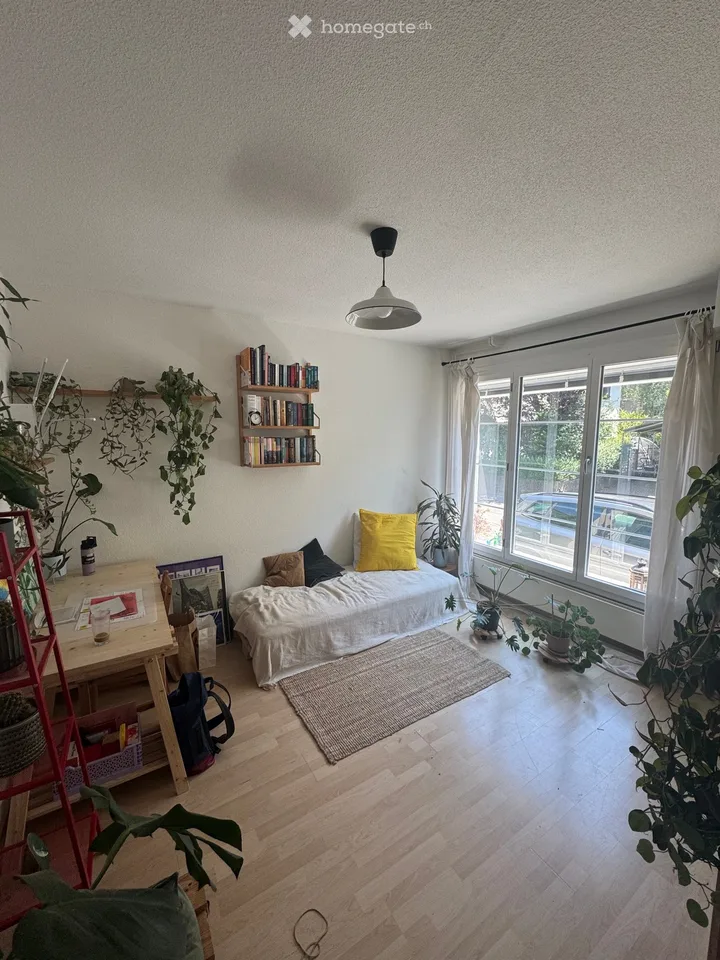 Wunderschöne 3 Zi.-Altbauwohnung im Murifeld