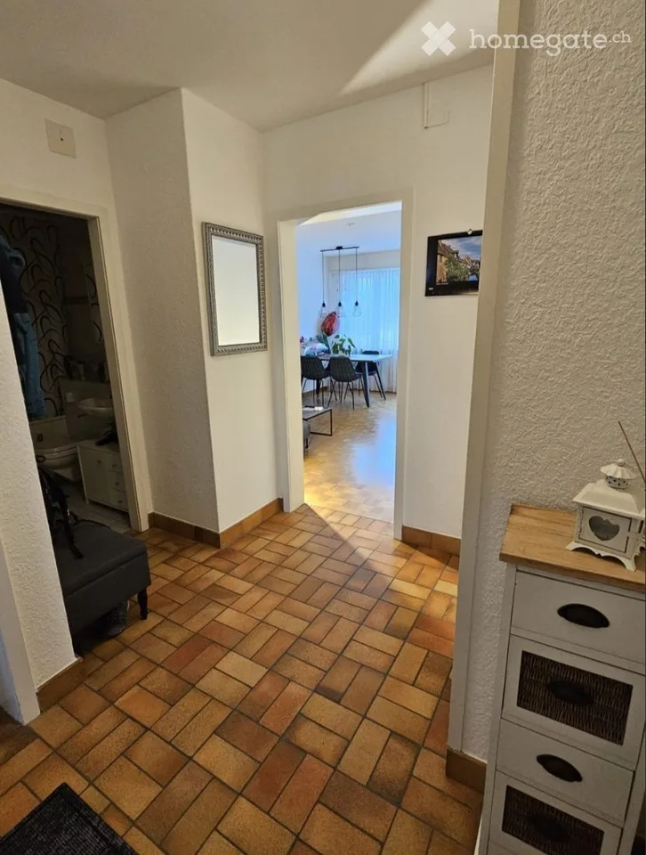 Nachmieter gesucht für unsere 2-Zi-Whg im Mattenhofquartier