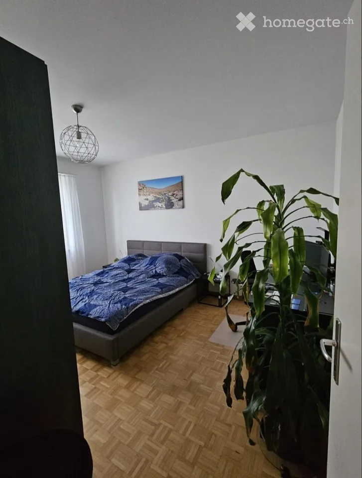 Recherche locataire pour notre appartement 2 pièces au quartier Mattenhof