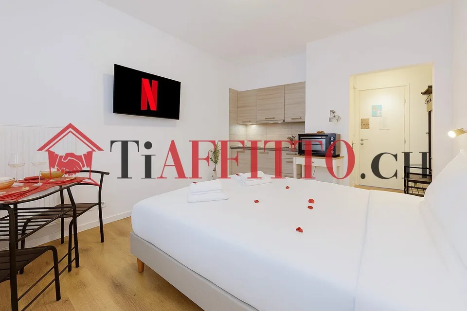FUNZIONALE MONOLOCALE CON BALCONCINO A MOLINO NUOVO