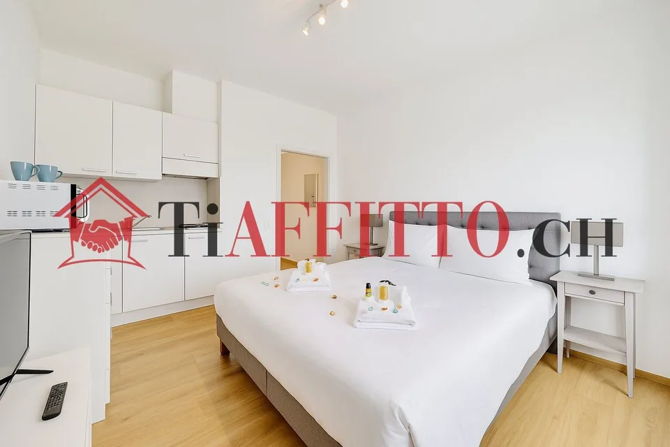 FUNZIONALE MONOLOCALE CON BALCONCINO A MOLINO NUOVO