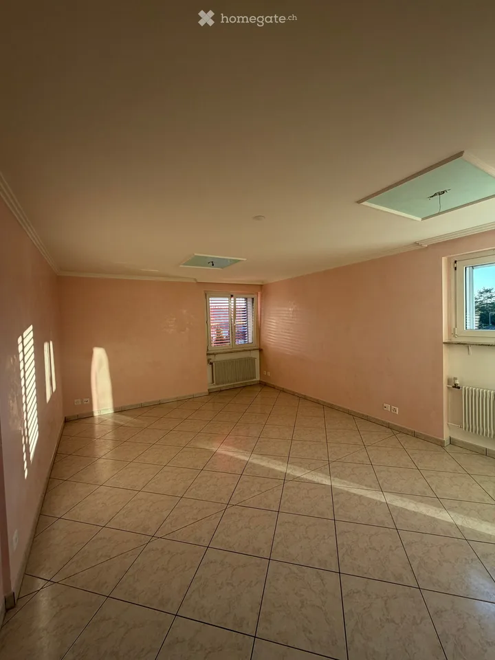 Appartement 4 pièces avec vue magnifique à Dottikon