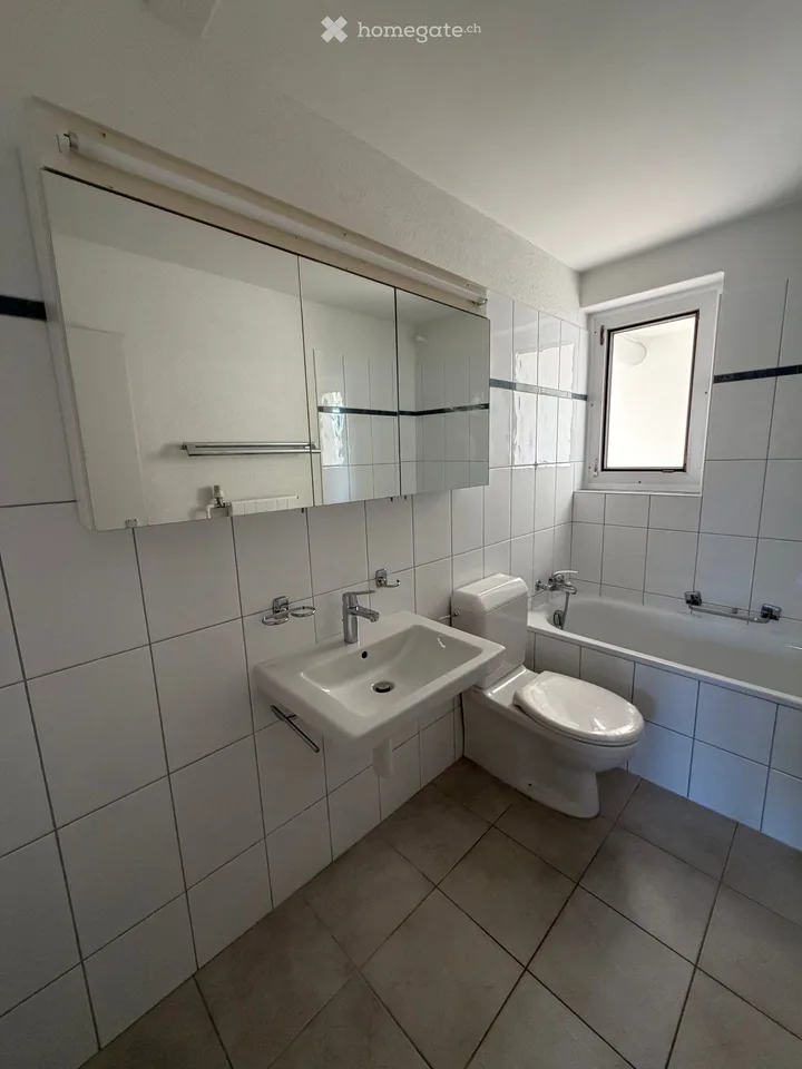 Appartement 4 pièces avec vue magnifique à Dottikon