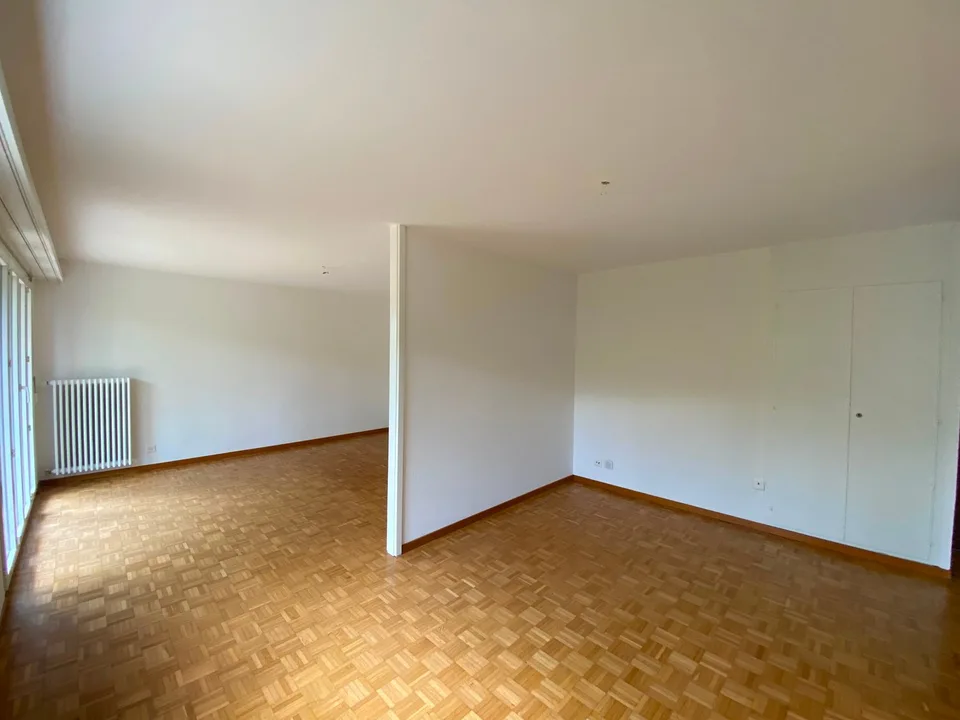 In affitto, appartamento di 1,5 locali con terrazza al pianterreno.