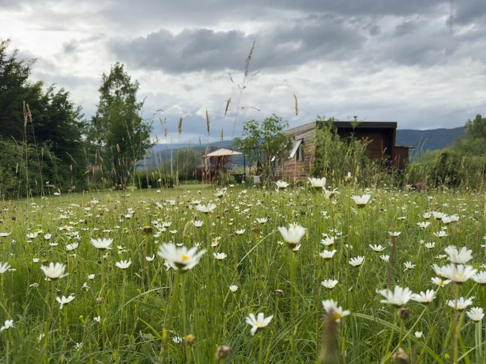 Grosse Baulandparzelle am Bielersee mit Potenzial. Erst- und Zweitwohnsitz möglich! – Foto 11 von 22