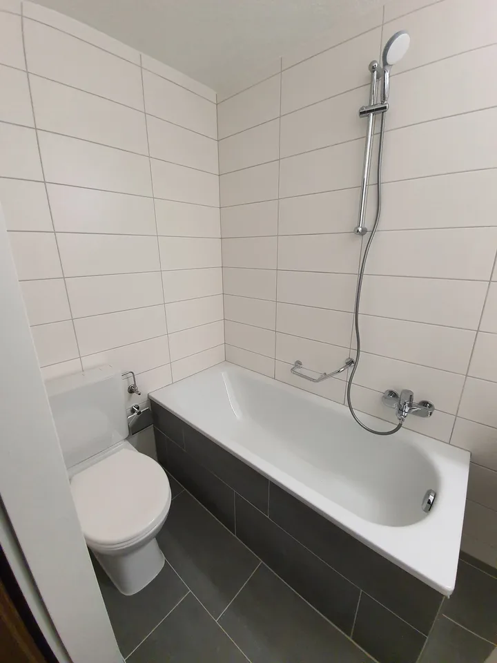 Renovierte, top-moderne 3-Zimmerwohnung zu vermieten!