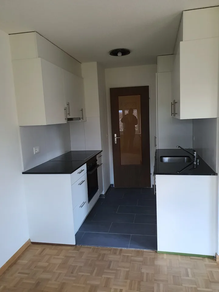 Renovierte, top-moderne 3-Zimmerwohnung zu vermieten!