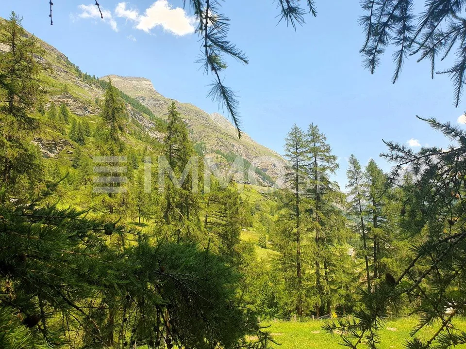 Bauland neben der Skipiste