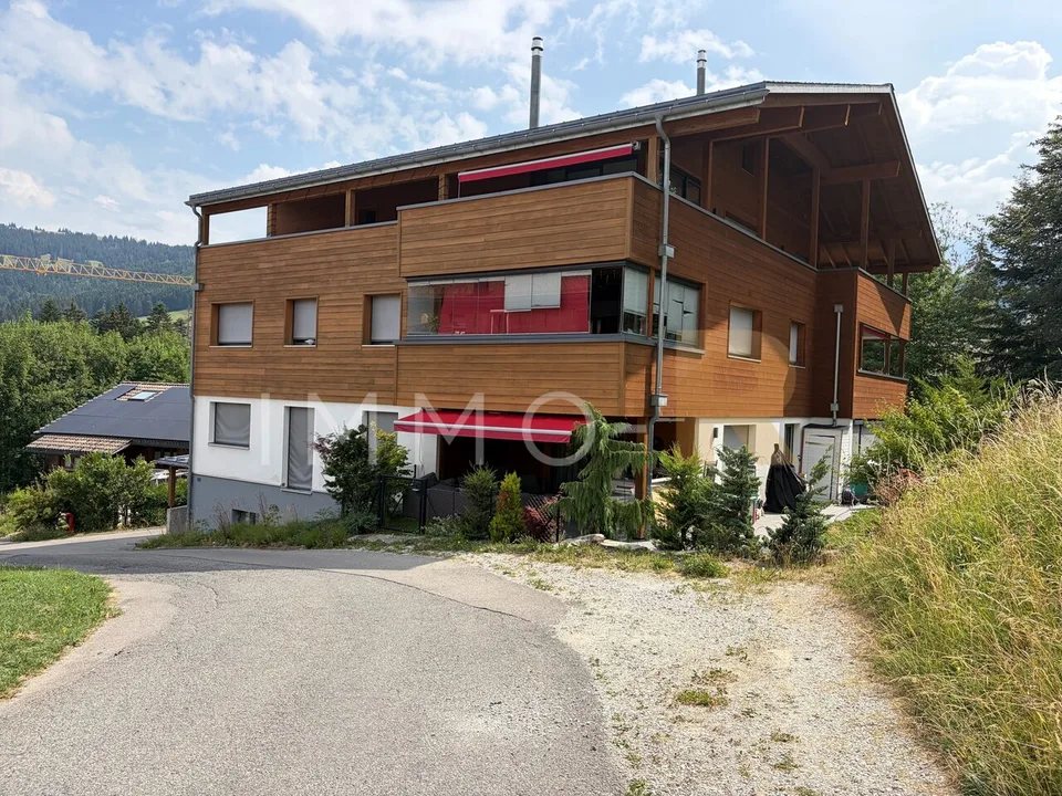 Magnifique attique 4.5pces et mezzanine