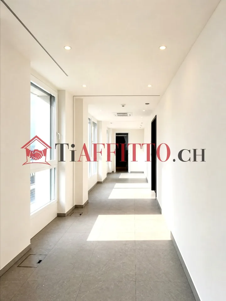 Ein einfaches Büro in Castione