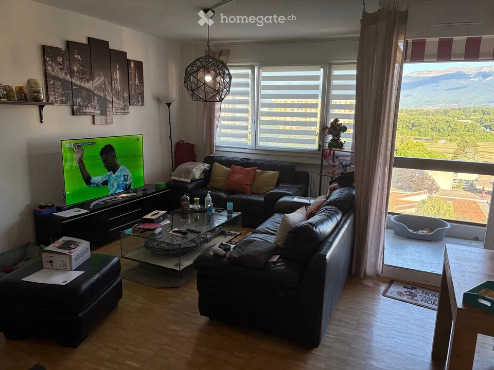 Reprise de bail  7 pièces de 124 m² à Meyrin