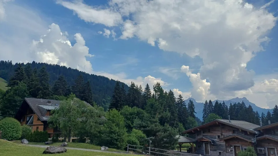Appartamento 4.5 locali a Chesières – foto 22 di 26